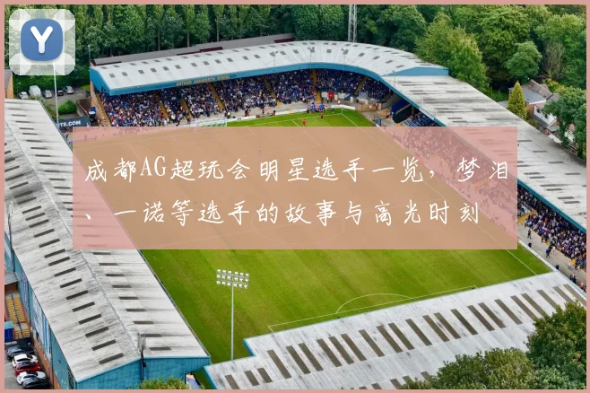 成都AG超玩会明星选手一览，梦泪、一诺等选手的故事与高光时刻