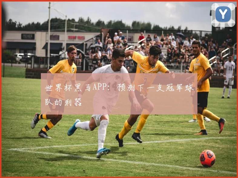 世界杯黑马APP：预测下一支冠军球队的利器